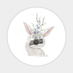 Camera rabbit Magnet